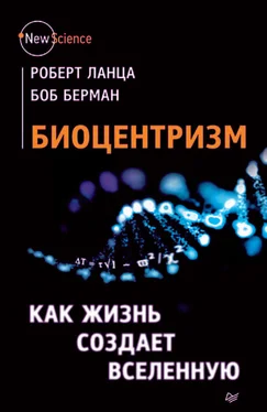 Боб Берман Биоцентризм. Как жизнь создает Вселенную обложка книги