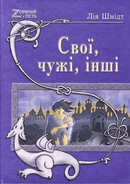 Лія Шмідт Свої, чужі, інші обложка книги