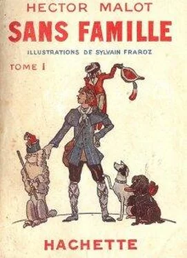 Hector Malot Sans famille обложка книги