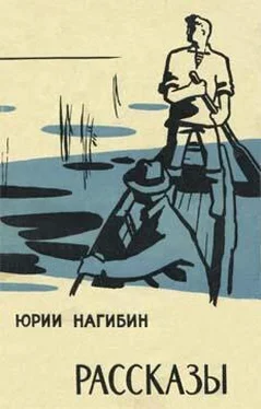 Юрий Нагибин Рассказы обложка книги