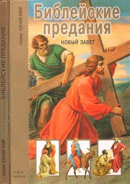 Г. Крылов Библейские предания. Новый завет обложка книги