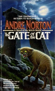 Andre Norton The Gate of the Cat обложка книги