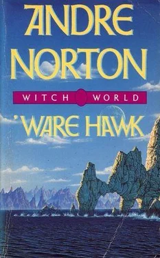 Andre Norton Ware Hawk обложка книги