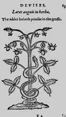 The heroicall devises of M Claudius Paradin Whereunto are added the Lord - фото 109
