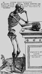 Базель 1543 Andreas Vesalius De humani corporis fabrica libri septemBasel - фото 35