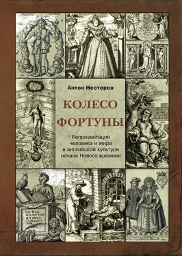 Антон Нестеров Колесо Фортуны. Репрезентация человека и мира в английской культуре начала Нового века обложка книги