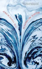 Anuradha Roy - Sleeping On Jupiter