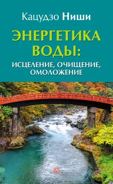 Кацудзо Ниши Энергетика воды: исцеление, очищение, омоложение обложка книги