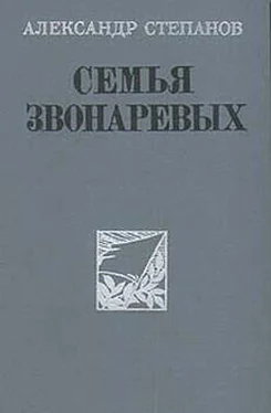 Александр Степанов Семья Звонаревых обложка книги