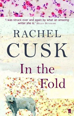 Rachel Cusk In the Fold обложка книги