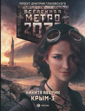 Никита Аверин Метро 2033: Крым-3. Пепел империй обложка книги