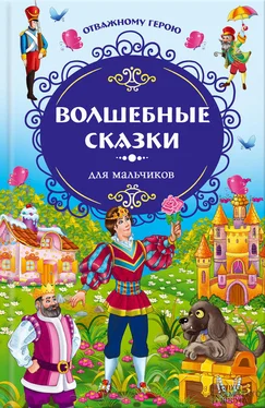 Якоб и Вильгельм Гримм Отважному герою. Волшебные сказки для мальчиков обложка книги