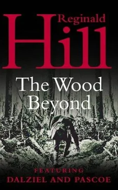 Reginald Hill The Wood Beyond обложка книги