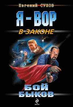 Евгений Сухов Бой быков обложка книги