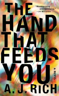 A. Rich The Hand That Feeds You обложка книги