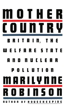 Marilynne Robinson Mother Country: Britain, the Welfare State, and Nuclear Pollution обложка книги