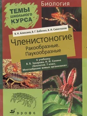 Владимир Алексеев Членистоногие обложка книги