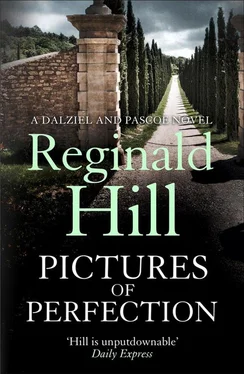 Reginald Hill Pictures of Perfection обложка книги