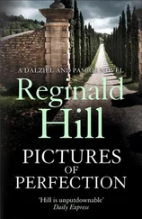 Reginald Hill - Pictures of Perfection