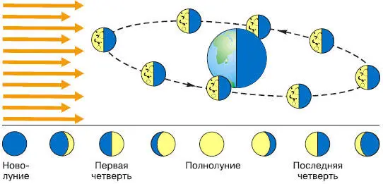 Рис 14 Фазы Луны Образование фаз Луны связано с ее движением вокруг Земли и - фото 29