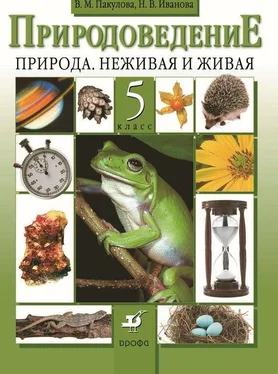 Вера Пакулова Природоведение. Природа. Неживая и живая. 5 класс обложка книги