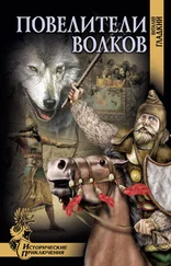 Виталий Гладкий - Повелители волков