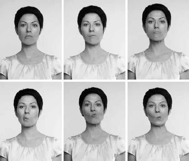 Фотоподсказка к упражнению Жующая коровка 4 Удивленный лев Ценителям йоги - фото 23