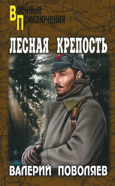 Валерий Поволяев Лесная крепость обложка книги