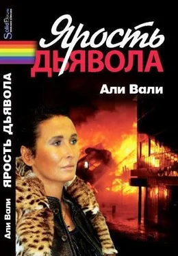 Вали Али Ярость дьявола обложка книги