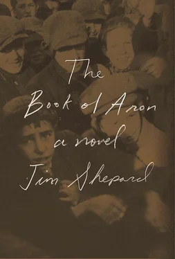 Jim Shepard The Book of Aron обложка книги