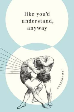 Jim Shepard Like You'd Understand, Anyway обложка книги