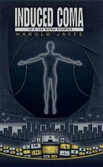 Harold Jaffe - Induced Coma