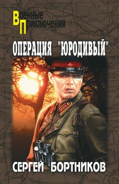 Сергей Бортников Операция «Юродивый» обложка книги