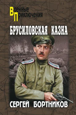 Сергей Бортников Брусиловская казна (сборник) обложка книги