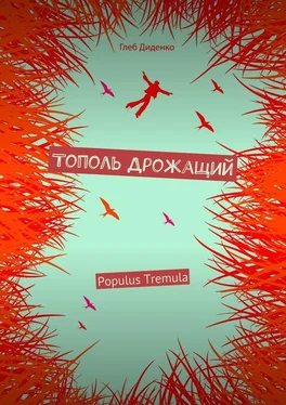 Глеб Диденко Тополь Дрожащий (сборник) обложка книги