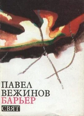 Павел Вежинов Барьер обложка книги