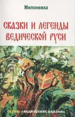 Марина Школьникова Сказки и легенды ведической руси (по рассказам ведуна Смирнова Виктора Аполлоновича) обложка книги