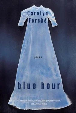 Carolyn Forche Blue Hour обложка книги