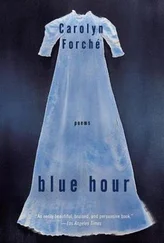 Carolyn Forche - Blue Hour