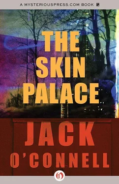 Jack O'Connell The Skin Palace обложка книги