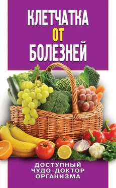 Дарья Нестерова Клетчатка от болезней. Доступный чудо-доктор организма обложка книги