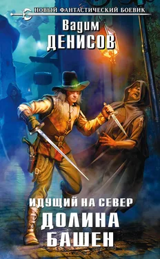 Вадим Денисов Идущий на Север. Долина Башен обложка книги