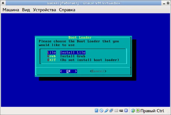 Рисунок 1114 Выбор начального загрузчика Выбрав в качестве загрузчика GRUB - фото 108