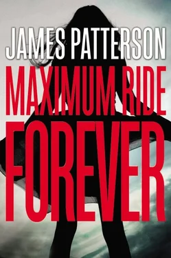 James Patterson Maximum Ride Forever обложка книги