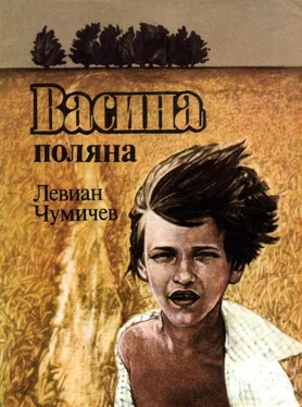 Левиан Чумичев Васина Поляна обложка книги