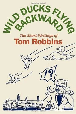 Tom Robbins Wild Ducks Flying Backward обложка книги