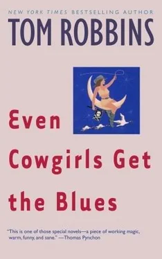 Tom Robbins Even Cowgirls Get the Blues обложка книги