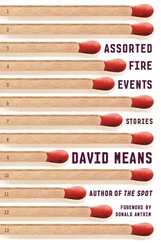 David Means - Assorted Fire Events - Stories