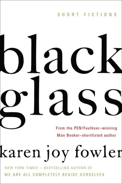 Karen Fowler Black Glass обложка книги