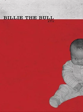 x Tx Billie the Bull обложка книги